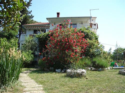 Holiday apartment - 4 persons -  - Kampor - 51280 - Rab