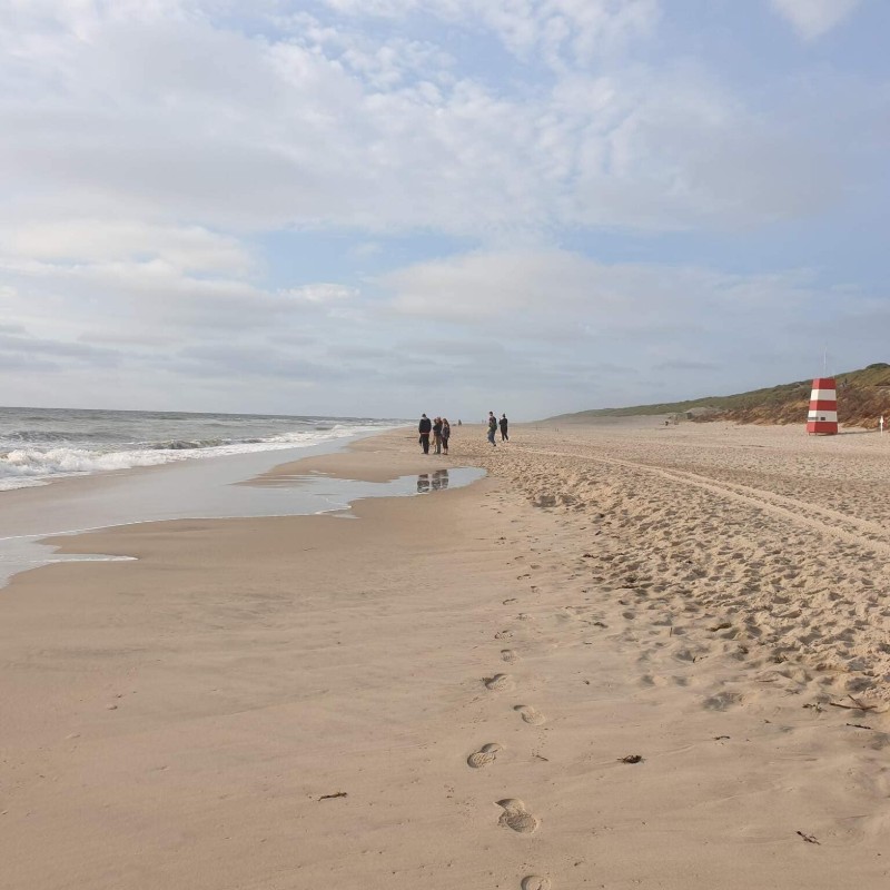 Sommerhus - 6 personer -  - Lodbergsvej 245, - Søndervig - 6950 - Ringkøbing