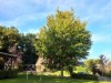 Bild 19
