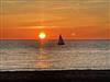 Bilde 29