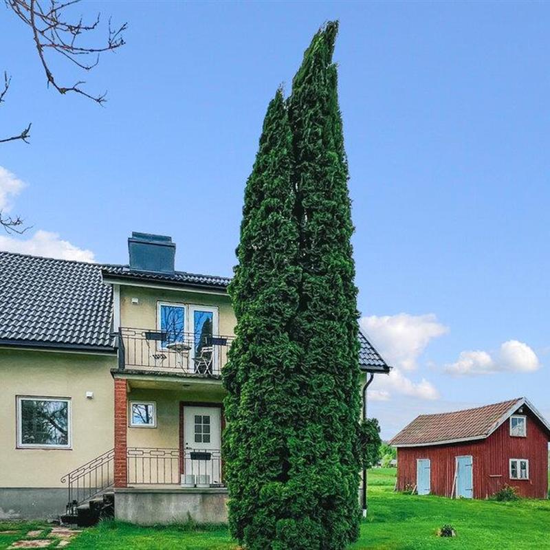 Sommerhus - 8 personer -  - Aplungsåsen - Västra Ämtervik/Sunne - 686 95 - Aplungsåsen