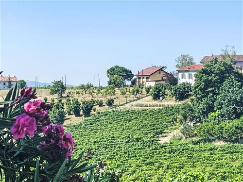 Sommerhus - 4 personer -  - Castel Rocchero - 14044