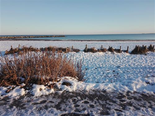 Ferielejlighed - 3 personer -  - Ostseeresidenz - 24351 - Damp