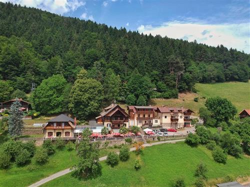 Ferielejlighed - 3 personer -  - Grossegg 2 Millstätter See Südüfer - 9701 - Rothenthurn