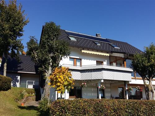 Ferienwohnung - 3 Personen -  - 72250 - Freudenstadt
