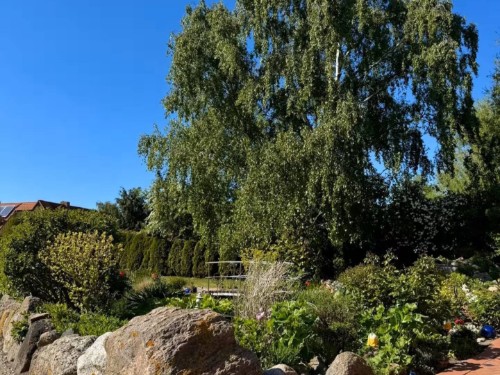 Ferieleilighet - 3 personer -  - Gartenstraße - 23775 - Großenbrode-Lütjenbrode