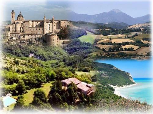 Sommerhus - 12 personer -  - Urbino - 61029