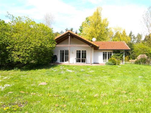 Ferienhaus - 6 Personen -  - Am Wald 1 - - 18233 - Teßmannsdorf