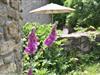 Image 29