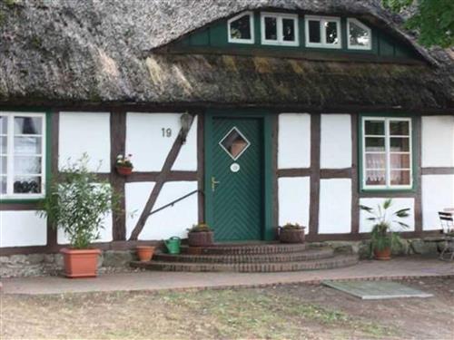 Ferienhaus - 3 Personen -  - Damerower Straße - 17192 - Federow