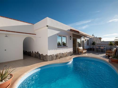 Feriehus - 4 personer -  - Calle Mirlo - 38632 - Palm Mar