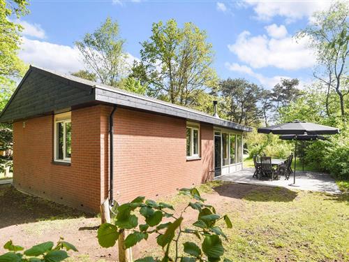 Bungalow - 16 persons -  - 3881SE - Putten