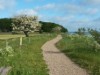 Bild 36