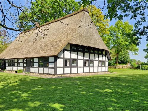 Sommerhus - 6 personer -  - Im Dorfe - Dümmer See - 49448 - Hüde