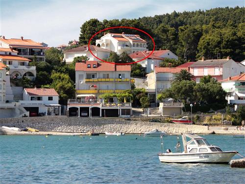 Ferieleilighet - 2 personer -  - Banjol 146, Banjol - 51280 - Rab