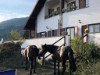 Image 14 - Outside