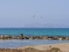 Bilde 6