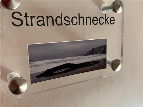 Holiday apartment - 2 persons -  - Landwehrdeich - 25992 - List Auf Sylt