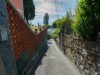 Billede 21