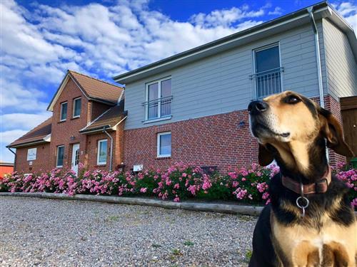 Ferienwohnung - 3 Personen -  - Süderdeich - 25836 - Vollerwiek