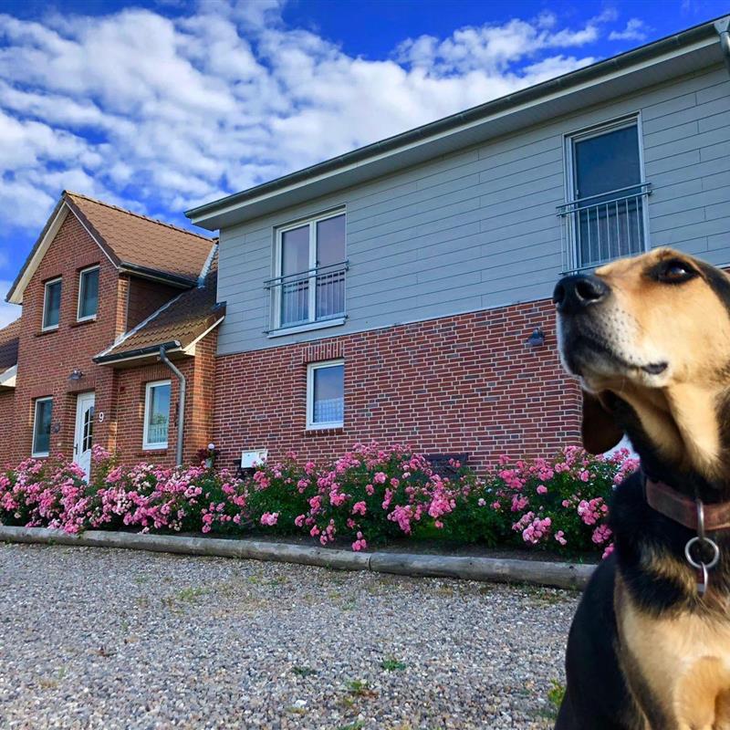 Ferielejlighed - 3 personer -  - Süderdeich - 25836 - Vollerwiek