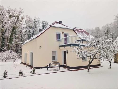 Ferielejlighed - 4 personer -  - Weststraße - 02991 - Lauta