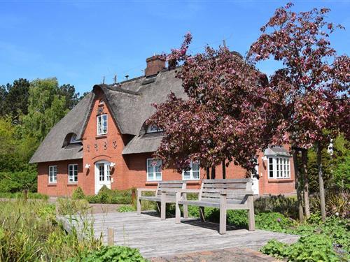 Ferieleilighet - 2 personer -  - Sjüürenwai - 25946 - Norddorf