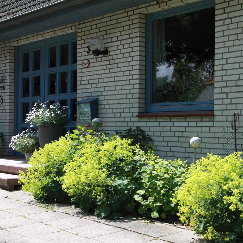 Ferielejlighed - 2 personer -  - Vitzdorf - 23769 - Fehmarn Ot Vitzdorf