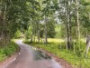 Bild 18 - Ude