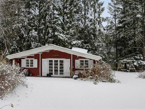 Ferienhaus - 4 Personen -  - Midtparken - Arrild - 6520 - Toftlund