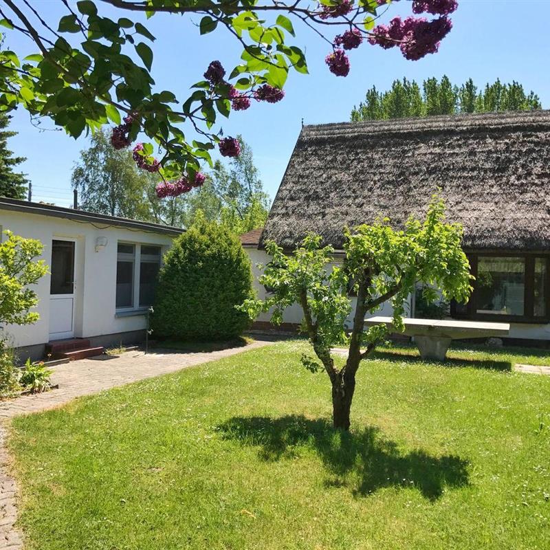 Sommerhus - 8 personer -  - Neuhof - 18551 - Neuhof