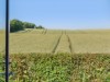 Bild 18
