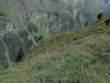 Billede 9