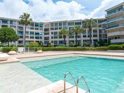 Ferielejlighed - 4 personer -  - Ave Cannes Pins B Bt A - 06160 - Juan Les Pins