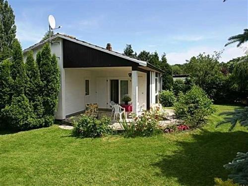 Ferienhaus - 4 Personen -  - Eichenweg - 23669 - Niendorf/Ostsee