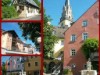 Bild 15