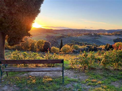 Holiday Home/Apartment - 4 persons -  - Borgo di Monte Antico Castello - Civitella Paganico - 58045 - Monte Antico