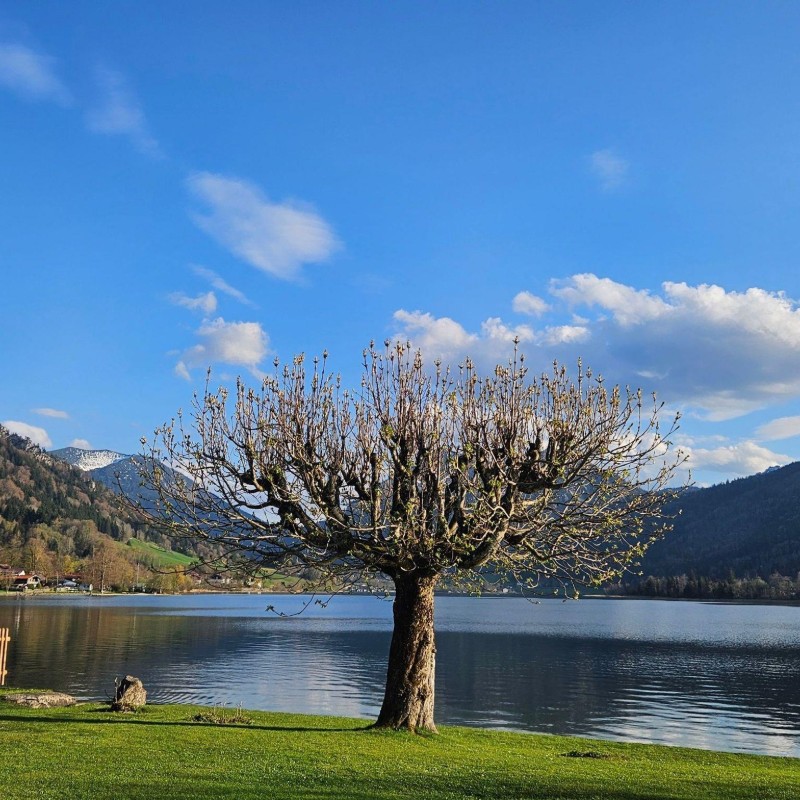 Ferielejlighed - 4 personer -  - Mesnergasse - 83727 - Schliersee