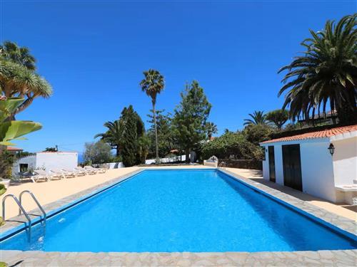 Ferielejlighed - 2 personer -  - Breña Alta - 38710