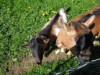 Bilde 14 - Inne
