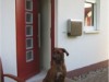 Bilde 5