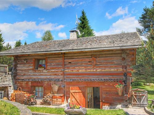 Hytte - 9 personer -  - 38037 - Bellamonte