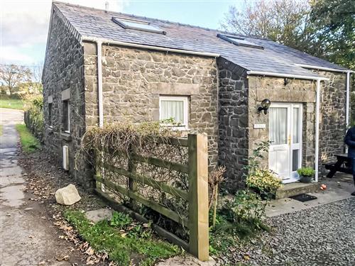 Ferienhaus - 6 Personen -  - St Davids - SA62 6UH