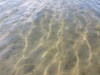 Image 35 - View of water