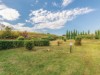 Bilde 39