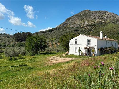 Sommerhus - 8 personer -  - Aldea Los Villares SN - Carcabuey - 14800 - Priego De Cordoba