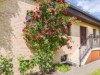 Bild 19