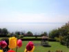 Bild 15