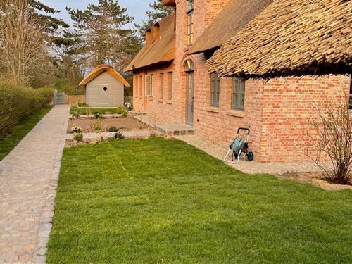 Ferienhaus - 4 Personen -  - Westerstieg - 25938 - Nieblum