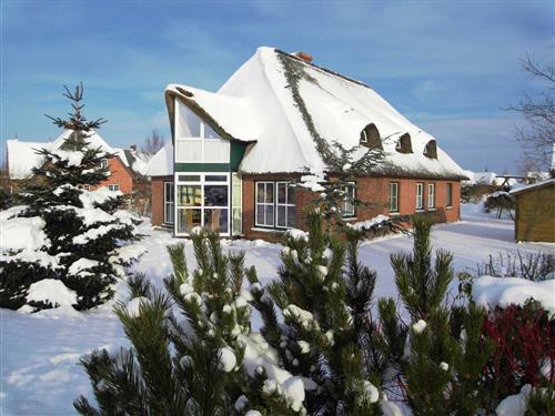 Holiday apartment - 2 persons -  - Swinemünder Str. - 25832 - Tönning